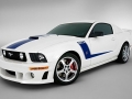 GT500 ֶ