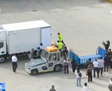 ��֤���Ϸ�����ˣ�ŷ��ŷ������ʵ��������ó����ɫ����