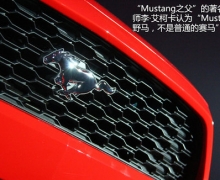 Ʒ ʵĽȫMUSTANGҰ