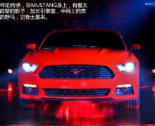 Ʒ ʵĽȫMUSTANGҰ