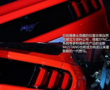 Ʒ ʵĽȫMUSTANGҰ
