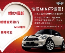 ˽Ԫ ԲMINI