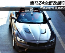 Z4ȫ¸װ ׼/۸