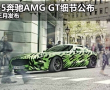 2015AMG GTϸڹ ·