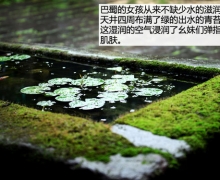 һӰ ԦMINIȻйɽ