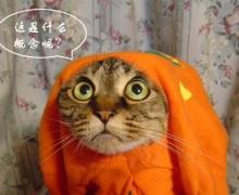 Ҫһ㣡Ҫ+һ㣡