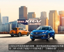 15SUV XR-V幺±׼
