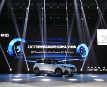 7SUV 5008콢