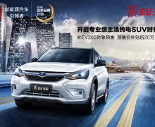 20ûбEV300硱