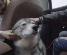 ֱŤ󣬸ĸȷǡ