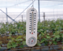 ũæʱڵĿ-ȫ´GS4Ѵ