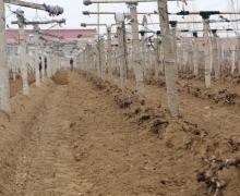 ũæʱڵĿ-ȫ´GS4Ѵ