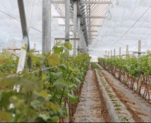 ũæʱڵĿ-ȫ´GS4Ѵ