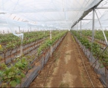 ũæʱڵĿ-ȫ´GS4Ѵ