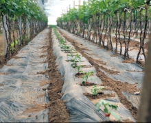 ũæʱڵĿ-ȫ´GS4Ѵ