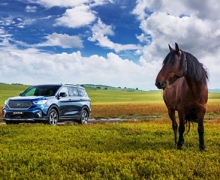 5SUV±ֵֵ2020ֲ 