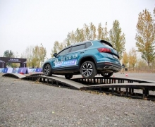 ˫;ȫӲԼж GO GO GO