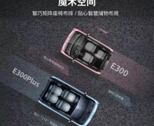 ȵ±ƻݣE300/E300Plusʽ