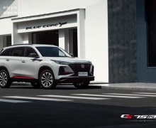 ԭӻɫ 2021CS75PLUS9