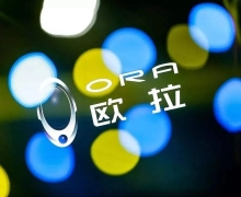 èһڡ/ĵ߸