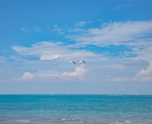 ̼ ʻݶE-Loveຣ