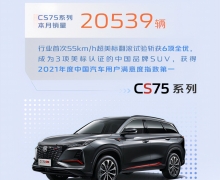 ⣡202110CS75ϵۼ246045ͬ17.1%