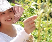 ˿조ϷСء ͽ8AT紴