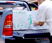 ˿조ϷСء ͽ8AT紴