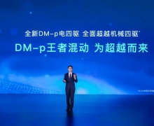 DM-p߻춯ΪԽ DM-pԤۼ29.28