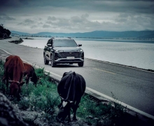 ֹ ǲƷ ڶCS75PLUSԱCR-V