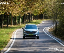 15.98Ԫ H6 DHT-PHEVͬ