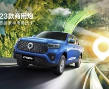 2023ڻ ۼ9.98Ԫ