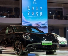 2024ŷè& GTľ汱չ