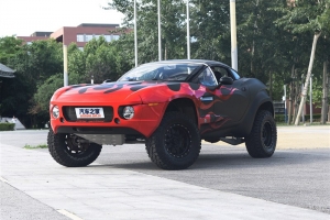 RALLY FIGHTERô